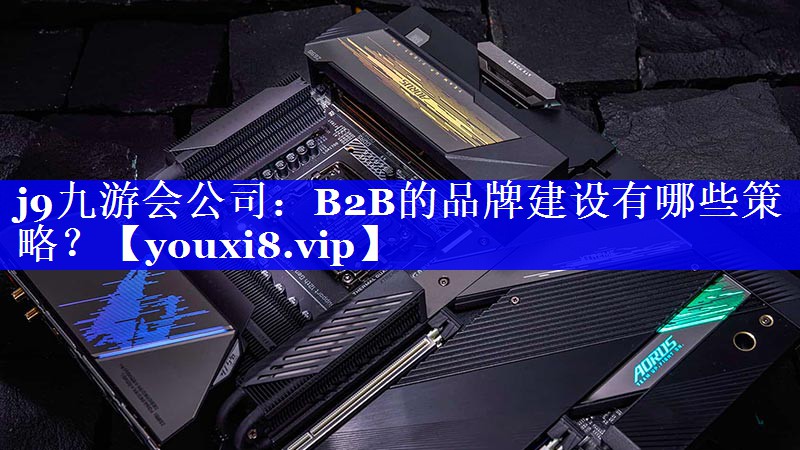 B2B的品牌建设有哪些策略？