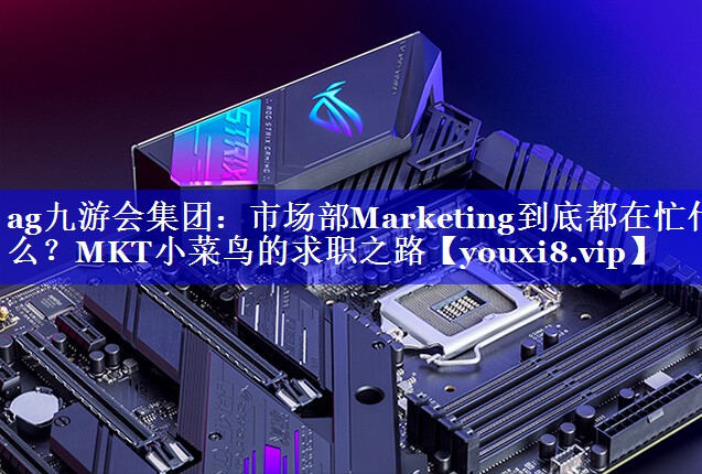 市场部Marketing到底都在忙什么？MKT小菜鸟的求职之路