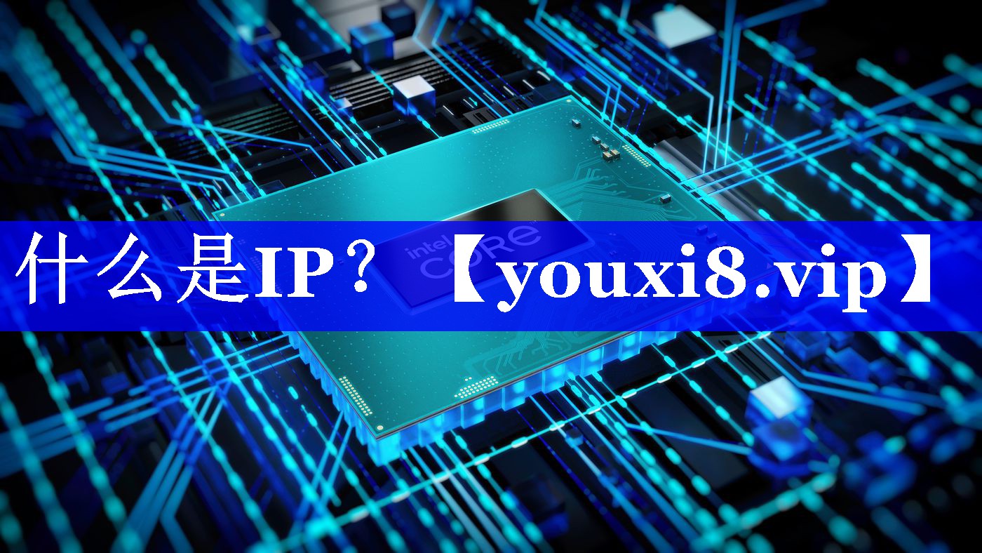 什么是IP？